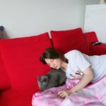 Kim Hee-chul Instagram - 15살 희범이🐱🐈💛 . . #희범 #Heebum #러시안블루 #RussianBlue