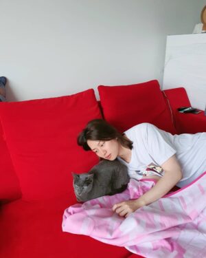 Kim Hee-chul Instagram - 15살 희범이🐱🐈💛
.
.
#희범 #Heebum #러시안블루 #RussianBlue