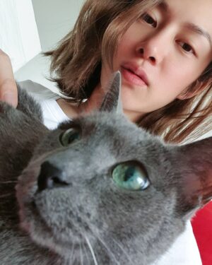 Kim Hee-chul Instagram - 15살 희범이🐱🐈💛
.
.
#희범 #Heebum #러시안블루 #RussianBlue