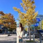 Kim Jung-eun Instagram – 단풍 예쁜 거리에서🍁🍂🌾우리 남순이 찾으러..🥹