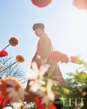 Kim Seon-ho Instagram - #ellekorea ◡̈