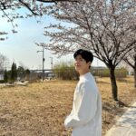 Kim Seon-ho Instagram - 봄 [: