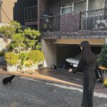 Kim So-hyun Instagram - 🐈‍⬛ 🐈