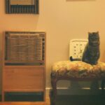 Kim Soy Instagram - 설맞이 우리 마고 선물! A lunar new year gift for my cat 하우스, 숨숨집, 캣타워, 스크래쳐를 하나로 합친 4 in 1 제품 by @in_a_piece 🐈🐈‍⬛ 목수 집사님이 직접 수제작 하시는 제품이라 커스텀도 가능해요. 마고가 잘 사용하고 있고 일단 나무 색깔과 모양이 예뻐서 집사도 무척 만족하고 있습니다 :-) 마고도 새해 복 많이 받자아아