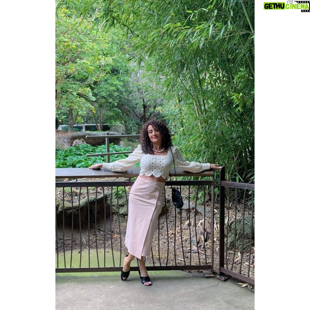 Kinda Hanna Instagram - 🎋 Melbourne Zoo