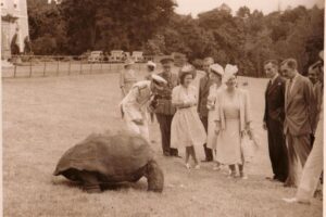 Queen Elizabeth II of the United Kingdom Instagram - The Duke of Edinburgh is in St Helena! 🇸🇭

🐢 HRH was welcomed to one of the most remote inhabited islands by Jonathan the Tortoise, who, at 191 years old, is the oldest living land animal in the world!

Born in the reign of William IV, the Seychelles giant tortoise has lived through seven British monarchs, with King Charles III becoming the eighth monarch of his lifespan so far.

⬅️ HRH is not the first Member of the Royal Family to have met Jonathan, who previously spent time with King George VI, Queen Elizabeth The Queen Mother, Queen Elizabeth II (when she was Princess Elizabeth) and Princess Margaret in 1947.

During his time on the island so far, The Duke has also...

⛰️ Viewed the spectacular sights of Jacob’s Ladder, a 699-step staircase that leads to Ladder Hill Fort.

👋 Met members of the local community at Grand Parade.

🧑‍⚕️ Heard about the important role that the Princess Royal Community Care Centre plays for local residents and saw the Centre’s cornerstone, which was laid by The Princess Royal during her visit in 2002!

Head to royal.uk (link in bio) to read more about HRH’s time on the island so far!