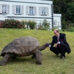 King Charles III of the United Kingdom Instagram - The Duke of Edinburgh is in St Helena! 🇸🇭 🐢 HRH was welcomed to one of the most remote inhabited islands by Jonathan the Tortoise, who, at 191 years old, is the oldest living land animal in the world! Born in the reign of William IV, the Seychelles giant tortoise has lived through seven British monarchs, with King Charles III becoming the eighth monarch of his lifespan so far. ⬅️ HRH is not the first Member of the Royal Family to have met Jonathan, who previously spent time with King George VI, Queen Elizabeth The Queen Mother, Queen Elizabeth II (when she was Princess Elizabeth) and Princess Margaret in 1947. During his time on the island so far, The Duke has also... ⛰️ Viewed the spectacular sights of Jacob’s Ladder, a 699-step staircase that leads to Ladder Hill Fort. 👋 Met members of the local community at Grand Parade. 🧑‍⚕️ Heard about the important role that the Princess Royal Community Care Centre plays for local residents and saw the Centre’s cornerstone, which was laid by The Princess Royal during her visit in 2002! Head to royal.uk (link in bio) to read more about HRH’s time on the island so far!