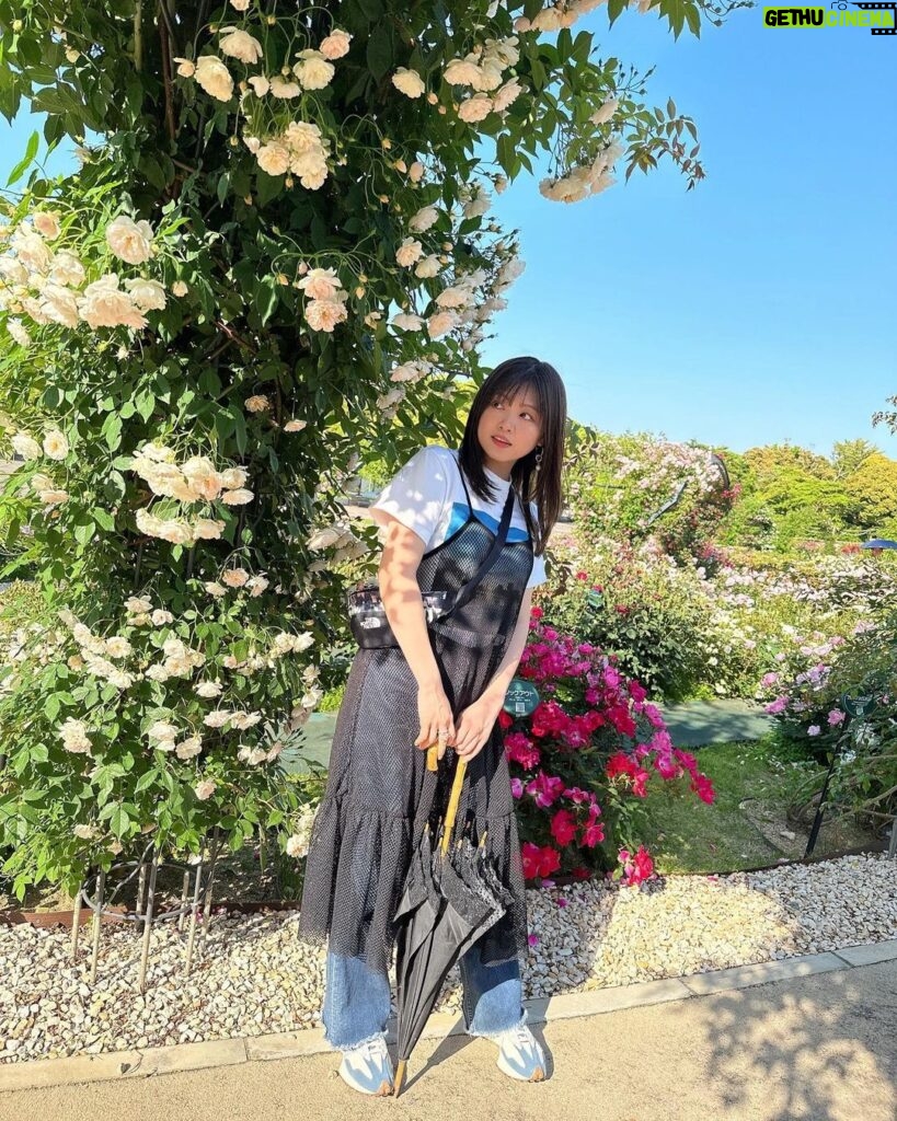 Konomi Suzuki Instagram - 大阪ただいま🐙 #万博公園 #バラ園と日本庭園 #太陽の塔の裏側 #初めて見た🌞 #涼んでいこう〜