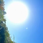 Konomi Suzuki Instagram - 大阪ただいま🐙 #万博公園 #バラ園と日本庭園 #太陽の塔の裏側 #初めて見た🌞 #涼んでいこう〜