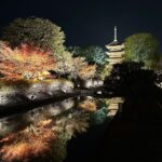 Konomi Suzuki Instagram – 今年もまた京都に来られて嬉しい！

ホッとする美味しい食べ物と、日本の美しい景色と、柔らかい心があって、
そんな京都が大好きです🍁✨

明日はいよいよ #京プレ ⛩️
国内は年内ラスト歌唱になります！
どうぞよろしくお願いします。

#京都といえばこれ
#マールブランシュの
#茶の菓
#お取り寄せするくらい大好き！
#袋がクリスマス仕様になってて可愛い…🎅✨
