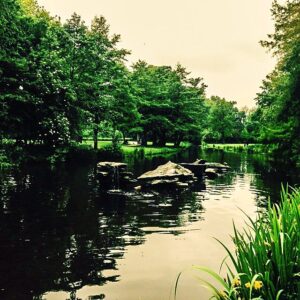 Koray Candemir Instagram - amsterdam, vondelpark #latergram