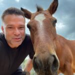 Kostas Sommer Instagram - Such a great experience to be here at @saveagreekstray to see animals that have suffered to be in such excellent condition in an environment where they get all their needs attended with so much love and devotion. Great to be here with @princess_maja_von_hohenzollern , how is fighting for animals, their rights, and is educating the youth with classes in schools to not have animal cruelty in future generations,… it was my honor to be here and be a part. Please support this cause, adopt animals, give them a home, and they will fill your house and family with love. Athens, Greece