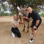 Kostas Sommer Instagram - Such a great experience to be here at @saveagreekstray to see animals that have suffered to be in such excellent condition in an environment where they get all their needs attended with so much love and devotion. Great to be here with @princess_maja_von_hohenzollern , how is fighting for animals, their rights, and is educating the youth with classes in schools to not have animal cruelty in future generations,… it was my honor to be here and be a part. Please support this cause, adopt animals, give them a home, and they will fill your house and family with love. Athens, Greece