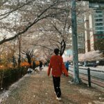 Kunpimook Bhuwakul Instagram - 🌸🌸🌸🌸🌸🌸🌸🌸