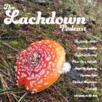 Lachlan Patterson Instagram - Join me in the forest for a late night Lachdown. Special guest owl. Whidbey Island