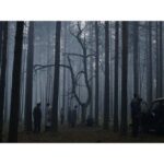 Lado Kvataniya Instagram - Фильм «Казнь» попал в основной конкурс Fantastic Fest, который проходит в в Остине, штат Техас. ⠀ ⠀ Это еще один международный жанровый фестиваль. Именно там состоится премьера фильма в конце сентября. ⠀ ⠀ Примечательной особенностью этого фестиваля является включение «секретных показов». На этих показах зрители часто не знают, каким будет фильм, пока не сядут, за несколько мгновений до его начала. ⠀ ⠀ Мы рады анонсировать, что на территории Франции картину выпустит в прокат компания The Jokers, выпустившие в прокат последние фильмы Николаса Виндинга Рефна, а также ленту ПАРАЗИТЫ Пон Джун-хо. ⠀ ⠀ И самое главное! У нас появилась официальная дата релиза в России. Прокатом будет заниматься Sony Pictures. Картина выйдет в широкий прокат 27 января 2022 года. ⠀ ⠀ #казнь Russia