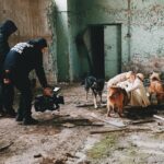 Lado Kvataniya Instagram - Уверен, что в прошлой жизни я был собакой и считаю своим долгом помочь четырехлапым братьям! /// 27 и 28 апреля пройдёт фестиваль WOOF @woof_fest, где будет более 150 собак и 200 кошек. Если у вас нет возможности приютить мохнатого верного друга или подругу, то приходите с подарками или просто подарите им немного своей ЛАСКИ. АДРЕС: Хлебозавод №9 по адресу г. Москва, ул. Новодмитровская, д. 1, стр.17 (м.Дмитровская) /// На фото лохматые ребята из приюта «НИКА» @fond_nika, которые на днях помогли нам на съёмках! Отдельное спасибо! ВСЕМ WOOF! #wooffets #dogpower Moscow