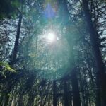 Laura Smet Instagram - Bon week-end de Pâques 🌳✨💚