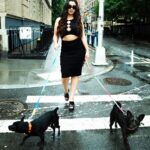 Lauren Jauregui Instagram - The older man who’s dogs we borrowed for that last pic was so excited when we asked to borrow his dogs. I wish I remembered their names but they were very very sweet and cuddly. Shoutout @itsmerazzie for the vision. It’s always a no if you don’t ask.🤍✨