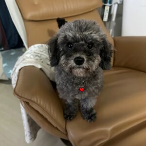 Lee Chang-ho Instagram - 내동생.
이자카 군.
4호선7번출구.
(4년7개월)

가슴으로 낳아 지갑으로 키우겠다!