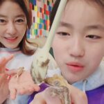 Lee Ji-hyun Instagram - 우리집 소리없는 막둥이들🦎🦎🦎 크레스티드게코😁 용과와 앵두 아주아주 건강하게 자라고 있지요~^^ 서윤이의 꿈 도마뱀전문 브리더👍👍👍 꼭 전문 브리더가 되렴^^ 안그러면 엄마가 도마뱀과 함께 산 세월이 억울할것 같아🤣🤣🤣 @sykim_100813 #파충류#도바뱀#크레스티드게코