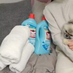 Lee Ji-hyun Instagram - 인스타에 향기 보내기 기능이 있었으면 좋겠어요 너무 사랑스럽고 포근한 이 향을 여러분들도 맡아봤으면 좋겠네요😍 자랑할게 너~~무많은 제품이에요 길지만 끝까지 읽어주세요~^^ ♦️향만 좋은게 아니지요~~~ 이탈리아에서 날아온 향좋고 세척력 좋은 세제 입니다 이탈리아 완제품 직수입, 조향사와 함께 제작한 예술적인 향과 함께 경제적인 고농축포물러로 적은양으로도 강력한 세척력을 지녔어요 ♦️홈쇼핑에 등장했다 하면 완판완판완판이에요! 매번 완판신화를 쓰고있는 이탈리아 명품세제! ♦️이탈리아에서 온 명품세제 기생충에 등장했던 부자냄새 6오미노비앙코 세제 ♦️섬유유연제까지 따로쓸 필요 없는 세제! 온가족 모두 함께 쓸수 있는 세제! 세척력은 강하고 성분은 착한 세제 여기 있어요 여름철.. 빨래에서나는 불쾌한 냄새. 오미노비앙코 세제쓰면 끝입니다 ♦️샤워 후에도 좋은 향이 나는 수건으로 닦아 줘야 개운하게 잘 씻은 느낌이 드는 거. 저만 그런 거 아니죠? 옷에서도 수건에서도 곳곳에서 풍겨져 나오는 고급스러운 화이트머스크향 덕분에 기분이 좋아지실 거예요 ♦️68년 전통의 이탈리아 국민세제 오미노비앙코는요, 8년 연속 시장점유율 ,판매점유율 1위를 굳건히 지키고 있는. 그럴만한 이유가 있는 세제예요 !! 1.유해먼지 흡착/재오염 방지 2.향수를 품은 화이트머스크향 3.피부저자극 테스트 완료! 섬유 코팅효과로 세탁중 제거된 유해먼지가 다시 웃옷에 달라붙지 않는 기술력 전세계 점유율 1위 조향사 지보단의 노하우가 담긴 장미, 아이리스, 백합, 머스크 등 다양하고 아름다운 향기 세탁량 4~5kg 기준으로 가벼운때는 뚜껑 반컵 보통때는2/3컵 찌든때는 한컵+아주 살짝 추가해서 넣어주시면 되세요 ♦️피부를 보호하는 저 자극성 포뮬러 ✓천연 추출물로 만들어진 세정 성분이 강력한 세척력을 발휘하면서도 자극 없이 피부를 보호 ✓이탈리아 공인기관 피부테스트 완료 ✓형광증백제 불검출 (2.6L 신포뮬러제품) ✓미세플라스틱 불검출 ♦️유럽 안전인증 및 친환경 협약을 준수한 안전한 제품 유럽의 엄격한 안전, 환경, 생산기준과 규정을 모두 준수 브랜드 신뢰를 뒷받침 하는 각종 AWARDS ♦️"2.6L 신포뮬러"로 기존 오미노비앙코와의 차이점>> "형광증백제 불검출!!" ♦️섬유나 종이를 하얗게 표백하는 "형광증백제"는 피부에 장기간 노출이되면 아토피나 피부염, 암을 유발시킬 수 있고 호흡기 노출시 소화기 질환까지 유발 할 수있는 위험물질로 알려져있어요! ♦️2.6L 신포뮬러 오미노비앙코는 기존 오미노비앙코와는 다르게 형광증백제 불검출인! 이탈리아 오미노비앙코 정식 수입원 미나글로벌 제품입니다! 현재 정식 수입원 외에는 판매하고있지 않은 제품이에요~! 🎊구매는 프로필 링크 눌러주세요🎊