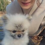 Lee Ji-hyun Instagram - 분리수거하러 몰리랑 내려갔다가 몰리랑 저도 찍어봤어요♥️ 울집 3호 애기🐶🐶 이지현의 이지바이브 유튜브 5시에 업로드 됩니당~~ 이번엔 제가 매니저 펌을 해줬어요 공유님로 만들어줬답니다~~컬만🤣🤣🤣 많이 구독해주세요🙏🙏🙏 #유튜브#이지바이브#주말#왕십리덤앤더머#원장님