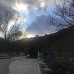 Lee Oi-soo Instagram - 인간반성-2020년 3월 집필실 벽 속에서 범람하는 바람소리 난폭하구나 멀고 먼 바다를 가로질러 삼지창을 번뜩거리며 당도한 포세이돈의 군사들 문득 시간이 정지하고 창 밖 나무들 뼈 부러지는 소리 목 빠지게 기다리던 봄은 기별이 없고 불안한 예감 속에서 절룩거리며 도망치는 나무들 하늘이 오늘처럼 지랄발광을 떨어댈 때는 오직 한 가지 이유뿐 인간이 아무 부끄러움도 없이 띠벌 벌레 흉내를 내거나 짐승 흉내를 낼 때 뿐이다 이 외 수