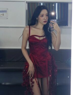 Lee Sun-mi Instagram - Red or Silver?