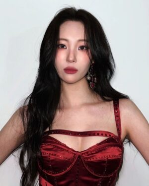 Lee Sun-mi Instagram - Red or Silver?