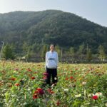 Lee Yeong-jin Instagram - 해피 추석 보내세요🍂🌹🌷