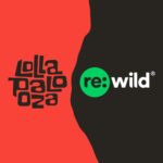 Leonardo DiCaprio Instagram – Since the beginning, sustainability has been an integral part of the Lollapalooza DNA. In 2024, @lollapalooza is elevating its commitment to the environment through a new global partnership with @rewild.

Lollapalooza festivals worldwide will support Re:wild and its local partners through environmental education, providing space on the festival grounds to speak with fans, and direct financial support to Re:wild projects.

Re:wild’s conservation solutions include protecting and restoring vital ecosystems, helping Indigenous peoples attain rights to their lands, safeguarding and reintroducing endangered species, and more.

Learn more at the link in bio.
