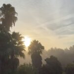 Lewis Bloor Instagram - THE MONDAY RECAP ☎️: First week with my feet on the ground settling in to the Ibiza Winter. I have been more excited about Winter than I was for the Summer. This past week showed me exactly why 🫶🤝🙌 Here’s a little recap of my past week. My personal & business wins & a special shout-out to a few of my clients 🙏🏼💚🏝️ ⚡️ My first full working week Monday - Friday 8-6 since the start of summer. Massive shout out to @thehub.ibiza for what they have created. Its a melting pot of business leaders with a particular vision for themselves & the world they live in. Couldn’t be more excited to be part of this community. ⚡️ Back teaching my 2 Weekly classes @thehub.ibiza (Tue - HIIT X MOBILITY & Thu - CORE X SPRINTS) had the pleasure of meeting & training a bunch of stone cold killers this week. A treat to meet you all ⚡️ Finalised my Winter accommodation thanks to my friend Pablo. This is real turning point for my journey in Ibiza to have my own, stunning apartment with its own garden in the best possible location for winter. Grateful beyond belief for this one 🙏🏼 ⚡️ LBOC has starts the Quarter of the year with the most number of active clients since I started this business in 2020. ⚡️ Paula dropped 3kg (106-103kg) in her first full week working with me, excited to see where the next 3 months takes us ⚡️ Steph got a 7 day streak for Training, Meals & Habits. This is sensational work and shows me exactly where her head and hear is at with our journey as a team ⚡️ John got his food intolerance test results back and broke down on the phone to me. He was so overwhelmed to have some science and data to look at to understand why he struggles to lose Man Boobd, berry belly & love handles even on “HEALTHY DIETS” - this is solid ground for us to build his programs over the next 3-6 months. Its a pleasure to welcome you on board and appreciate your openness with me ⚡️ 3 new starters last week. All with reviewed, revised, finalised & fully personalised workout, nutrition & habit programmes to get stuck in to this week! Couldn’t be happier with my life, my connections, my contributions & my business at this moment in time. Big Love, LB. #ibiza #ibizawinter Santa Gertrudis, Islas Baleares, Spain