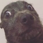 Liam Hemsworth Instagram -