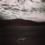Liam Hemsworth Instagram -