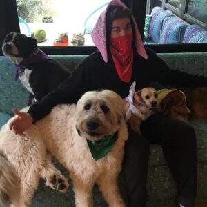Liam Hemsworth Instagram - My dog posse and I (not all pictured here) are supporting young Aussies living with cancer by wearing @canteen_aus bandannas. #bandannaday is today in Australia so get behind this great cause and shop for your favorite style at www.supportbandannaday.com  And on a side note if you look closely 3 out of 4 of these dogs have their upper lips caught #perfectsnap 😛 #bandannaday @canteen_aus