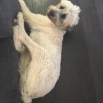 Liam Hemsworth Instagram - That looks comfortable.