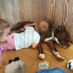 Liam Hemsworth Instagram - who needs babysitters?