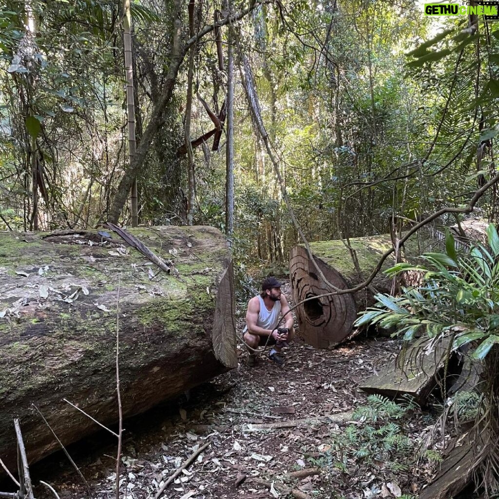 Liam Hemsworth Instagram - Top of the morning to ya 🌳