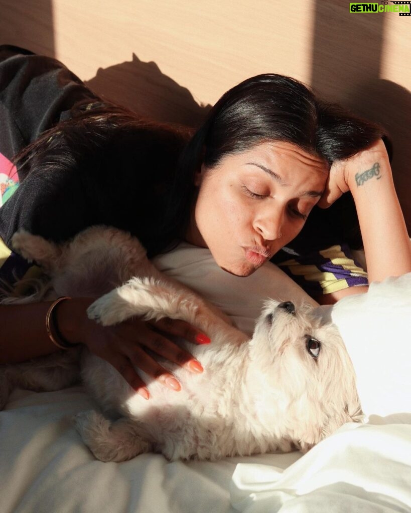 Lilly Singh Instagram - Golden hour with my boy. Drop a ❤️ below to give him a virtual belly rub.