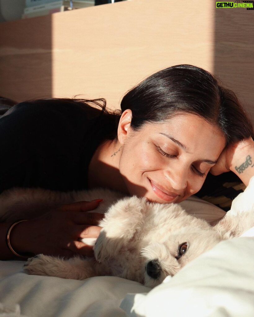 Lilly Singh Instagram - Golden hour with my boy. Drop a ❤️ below to give him a virtual belly rub.