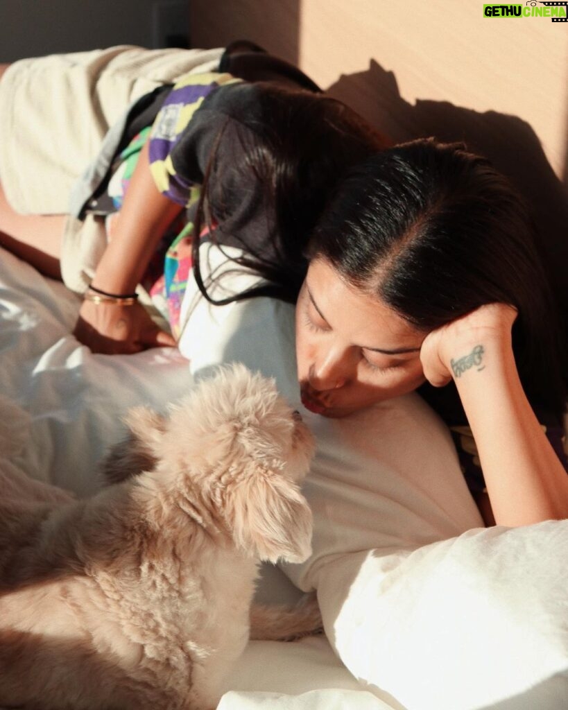 Lilly Singh Instagram - Golden hour with my boy. Drop a ❤️ below to give him a virtual belly rub.