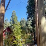 Lindsey Gort Instagram - finding the joy in fall as the world falls apart. speaking of falls apart, swipe to last video to see how well i handled my first ziplining experience 🫠🍂🍁🎃 i love living in the mountains and it makes me so happy to share it with friends who come visit ❤️ Lake Arrowhead, California