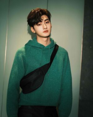 Liu Te Instagram - hi nice to meet u.#SalvatoreFerragamo
