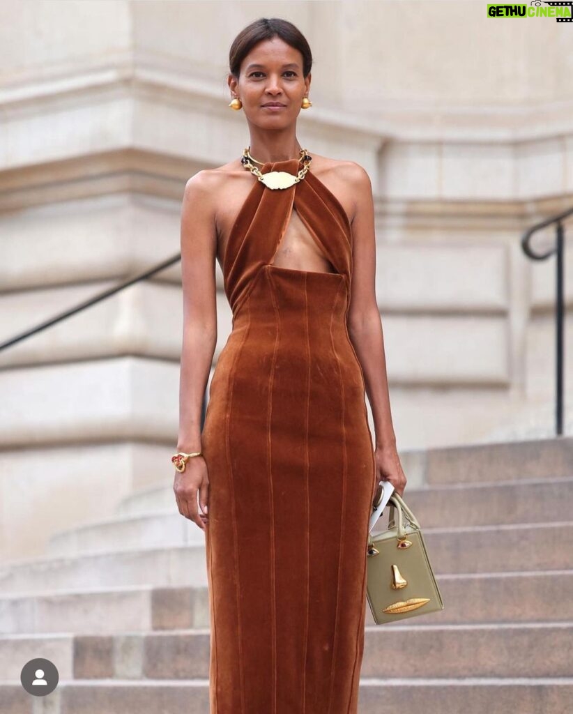 Liya Kebede Instagram - 🙏🏾 @danielroseberry @schiaparelli #pariscoutureweek 📸@asiatypek @lofficielitalia