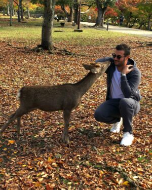 Loïc Fiorelli Instagram - Se balader dans la ville de Nara 🇯🇵🦌 #japan #nara #日本 #幸せ #travel