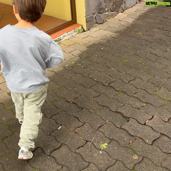 Luís Marvão Instagram - Apesar da chuva miudinha, conseguimos ver sempre o sol. ☀️ A Madeira é mesmo o mais belo jardim e foi muito bom mostrá-lo aos nossos filhos. Claaaaaro que temos sempre a sensação de virmos mais cansados do que o que fomos (nós pais) mas vale sempre tanto a pena vivermos estes momentos em família. 👨‍👩‍👧‍👦 O Zema já só queria trazer o nosso carro da @madeirarent de barco e trocar com o nosso, porque disse que este era “muito mais fixe”. Confortável foi porque dormiram todas as sestas nele 🤤 Madeira, vamos voltar em breve! 🧡