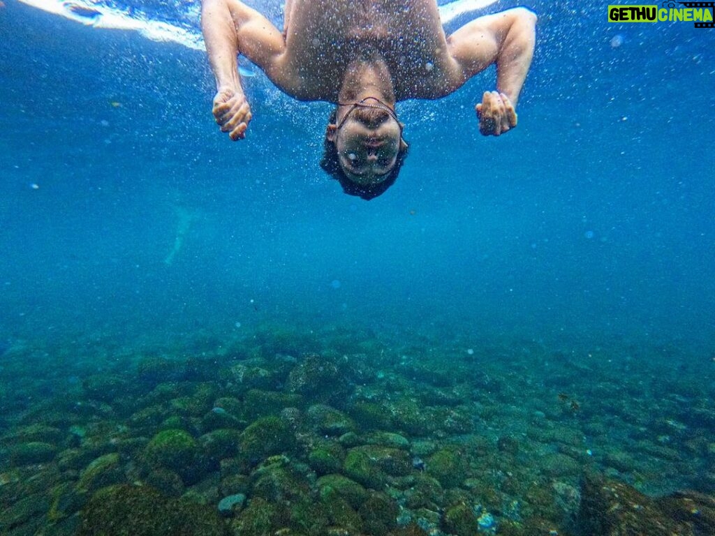 Luís Simões Instagram - See Ya ! 🫧🐟 #madeiraisland #madeiravibes #nofilters #nocuts #sealovers #sealife #goodvibes #ocean Madeira Island