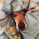 Lucía Martín Abello Instagram - A tirar petardos a Mingorrubio 🎈