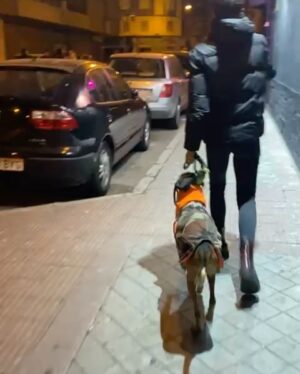 Lucía Martín Abello Instagram - A los Rubiales patada en los tibiales.
🥷🏼💕

#seacabó